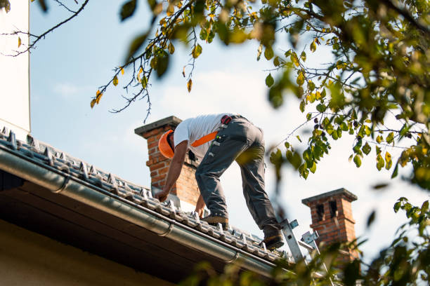 Best Roof Gutter Cleaning  in Fort Plain, NY